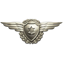 File:Il metal pilot wings insignia.png