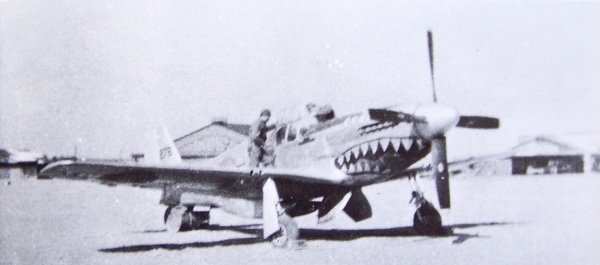 File:P-51C-11 'Evalina' in capture 1.jpg