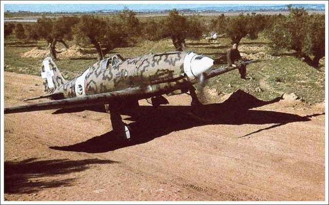 File:FighterImage Mc202folgore01.jpg
